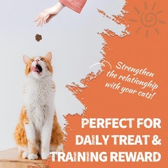 16 OZ Hairball Support Cat Treats Hairball Removal Chicken Flavor Healthy Cat…