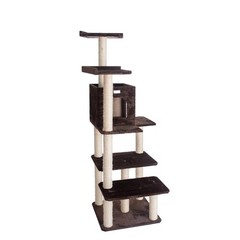 66-Inch Real Wood Cat Tree In Coffee Brown With Four Levels, Two Perches, Condo