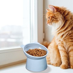 3Pcs Reusable Raised Cat Food Bowls Ergonomic Tilted Design for Cats
