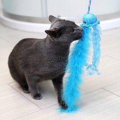 Quirky Kitty Jiggling Jellyfish Wand Cat Toy – Blue