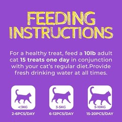 Just Try 13.4 OZ Lysine Cat Treats Natural Salmon Flavor Healthy Cat Training