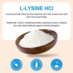 Cat Pet Supplement L‑Lysine Powder for Cats – Immune, Respiratory & Eye Support