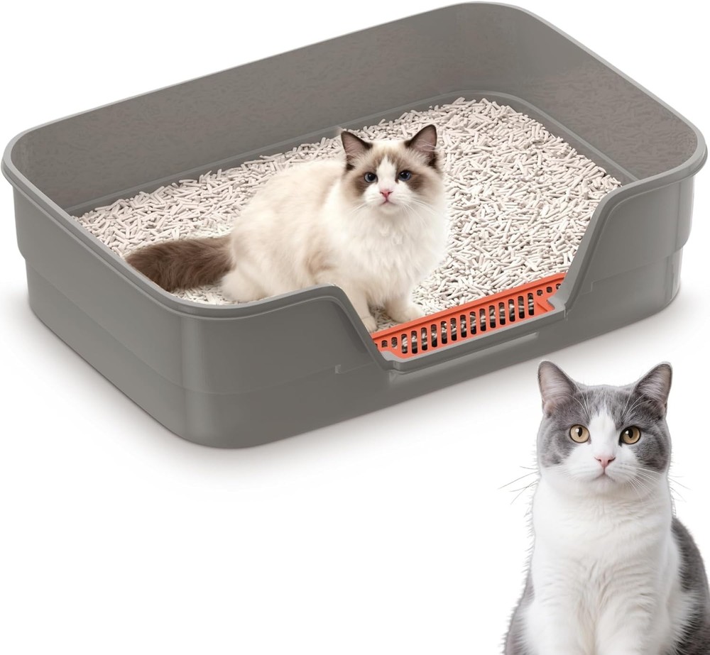 Low Entry Litter Box Senior Cats Extra Large Cat Litter Box W/ High Sides Kitten