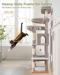 Taoqimiao 71 Inches Cat Tree for Large Cats 20lbs+, 3 Giant Perches, Multi-Le…