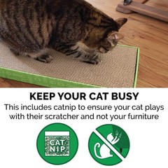 Furhaven Scratching Board w/ Catnip for Indoor Cats, Standard, Standard Green