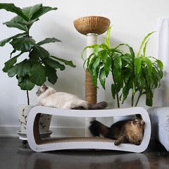 PetFusion Jumbo Cat Scratcher Lounge, White. 39 x 11 x 14 inch 4 Cardboard Sc…