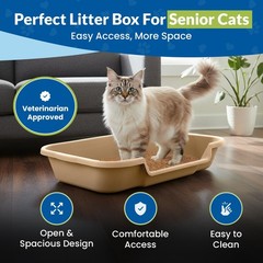 KittyGoHere Senior Cat Litter Box 1 Pack, Large Beach Sand Low Entrance Kitty…