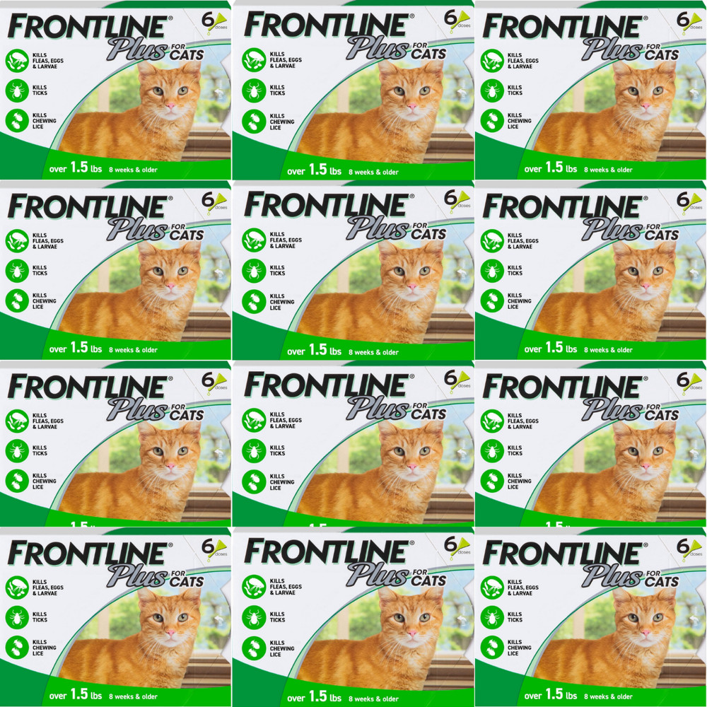 12 Pack FRONTLINE Plus Flea and Tick Treatment for Cats and Kittens – 72 Doses