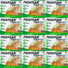 12 Pack FRONTLINE Plus Flea and Tick Treatment for Cats and Kittens – 72 Doses