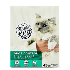 (2 pack) Special Kitty Clumping Clay Cat Litter, Fresh Scent, 45 lbs Box