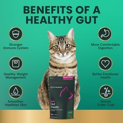 Vetriscience Probiotic Digestive Support Supplement for Cats, 60 Bite Sized Chew