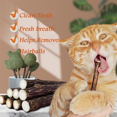 10 PCS Catnip Sticks Organic Cat Chew Toys Natural Plant Matatabi Silvervine Ch