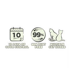 (2 pack) Special Kitty Clumping Clay Cat Litter, Fresh Scent, 45 lbs Box
