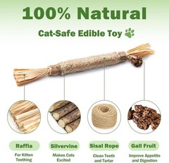 [10 Pack] Silvervine Sticks Cats Natural Chew Stick Dental Care Teeth Cleaning