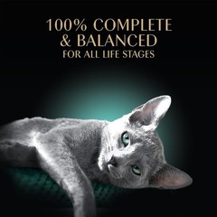 Grain-Free Wet Cat Food Pate – Chicken & Salmon Variety Twin-Pack (2 x 6 Count)