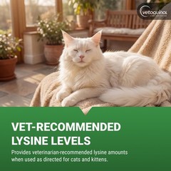 Vetoquinol Viralys – Lysine Supplement for Cats & 100 Grams, Premium pack