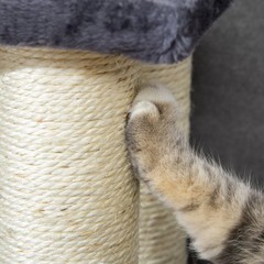 PawHut Cat Tree With 4 Steps For High Beds Couch, Cute Stair Shaped Cat Tree For