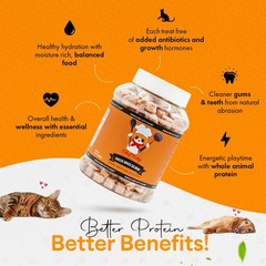 Chef Kitty Freeze Dried Salmon Cat and Dog Treats – 5.3 Ounce