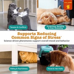 Calming Diffuser Kit for Cats, Orchid Mist Scent, 30 Days by Zesty Paws