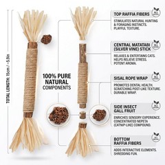 Interactive 12PCS Catnip Chew Toys for Indoor Cats – Dental Health Included