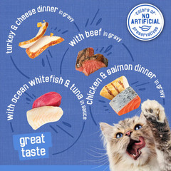 (2 pack)Friskies Shreds in Gravy Variety Pack Canned Cat Food, 5.5-oz,case of 48