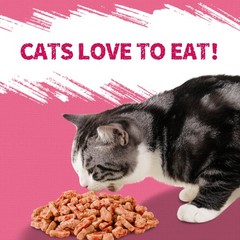 13.4 OZ Urinary Tract Health Cat Treats for Indoor Cats, Health Supplement Cr…