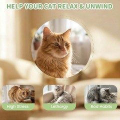 6 Pack Catnip Toys for Cat Chew Toy with 2 Bags, Organic and Safe green