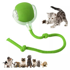 Automatic Rolling Ball Smart Cat Dog Toy Electric Pet Self-moving Kitten Game US