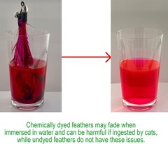 Cat Toys – No Chemical Dyeing Feather for Indoor 10 pieces, Natural