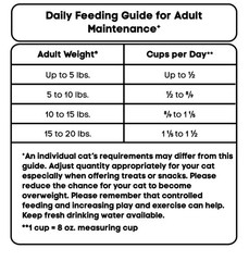 [Free Ship] Special Kitty Outdoor Formula Dry Cat Food, 44 lb Bag.