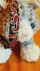 Fabric Cat Collar – Paisley Design of Purple, Red, Gold & Green On Black… Meow