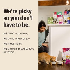 The Honest Kitchen Human Grade Whole Food 16 Fl Oz (Pack of 1), Multi