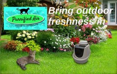 Purrified Air Product Bundle A