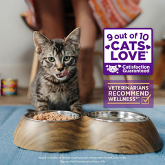 Wellness Healthy Indulgence Shreds Adult Wet Cat Food, Natural, Protein Rich, Gr