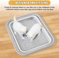 Senior Cat Litter Box Three Legged Arthritic Open Low Entry Sick Frail Handicap