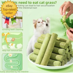 Cat Natural Grass Teething Sticks 100G Kitten Chew Stick for Hairball Removal