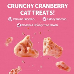 Just Try Urinary Tract Health Cat Treats Cranberry D-Mannose 13.4 oz