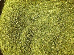 CATNIP BULK FREE SHIPPING, NEW “2024” CROP, DRIED/FRESH/GREEN