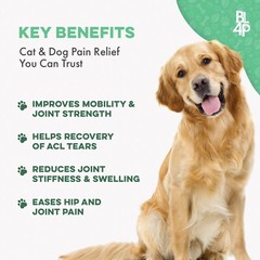 WALK-EASY HIP & JOINT SUPPLEMENT FOR DOG & CATS Arthritis Pain Relief