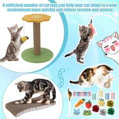 Locmeo 40 Pcs Kitten Starter Kit For Indoor Cats Include Litter Carrier Cat Bed