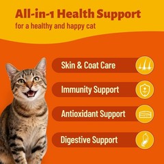 Taurine Cat Treats, Heart, Vision and Immune Support Soft Chews